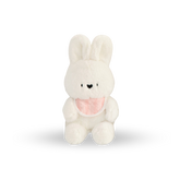 咬我SSFW我的好朋友兔子玩具